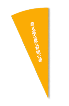 尊龙官方网站 - (中国区)首页