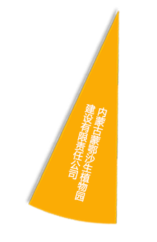 尊龙官方网站 - (中国区)首页