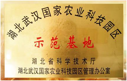 尊龙官方网站 - (中国区)首页