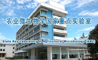 作物检测-尊龙官方网站