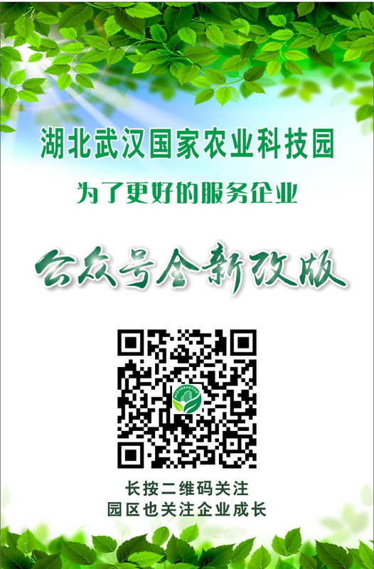 尊龙官方网站 - (中国区)首页