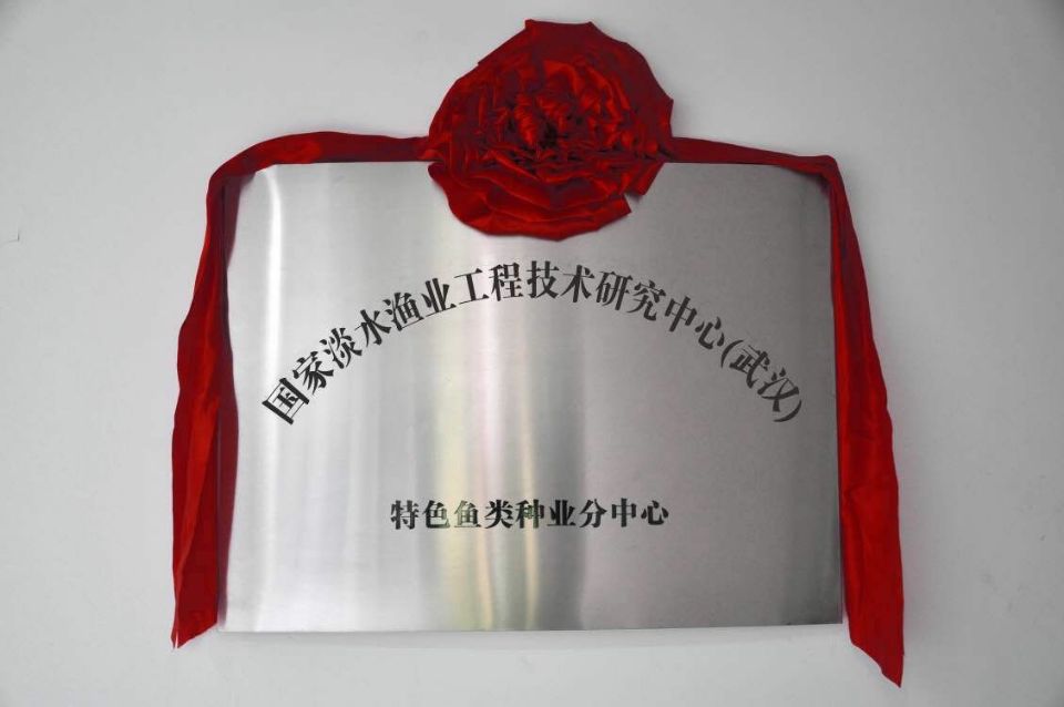 尊龙官方网站 - (中国区)首页