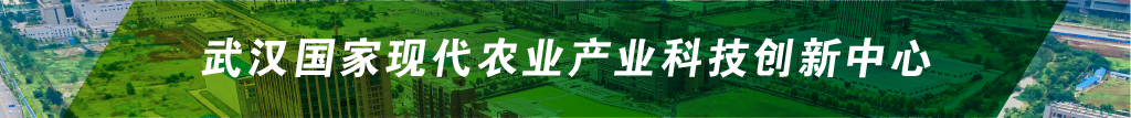 尊龙官方网站 - (中国区)首页